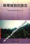 麻栗坡县民族志