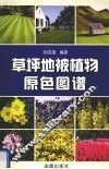 草坪地被植物原色图谱