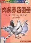 肉鸽养殖图册