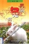 药到兔病除
