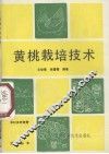 黄桃栽培技术
