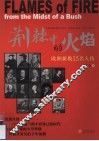 荆棘中的火焰  欧洲新教15名人传