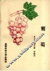 葡萄