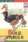 高效益养鸭鹅技术
