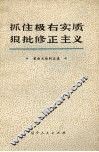 抓住极右实质  狠批修正主义