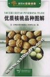 优质核桃品种图解