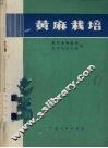 黄麻栽培