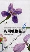 药用植物花谱  4