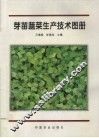 芽苗蔬菜生产技术图册