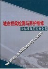城市桥梁检测与养护维修及标准规范实务全书  第1卷