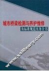 城市桥梁检测与养护维修及标准规范实务全书  第4卷