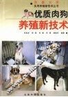 优质肉狗养殖新技术
