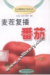 麦茬复播番茄