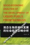 液态生物质燃料发展的社会经济影响分析