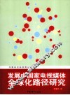 发展中国家电视媒体全球化路径研究