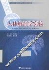 人体解剖学实验