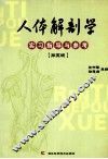 人体解剖学实习指导与参考  第5版