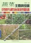 蔬菜主要病虫害识别与防治彩色图谱