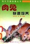 肉兔快速饲养