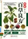 图解百草良方