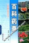 百科草药