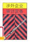 涉外企业审计实务