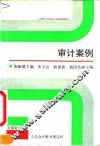 审计案例