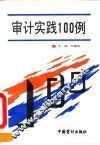 审计实践100例