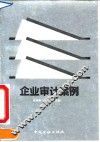 企业审计案例
