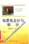 电算化会计与审计