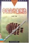 中国会计案例选