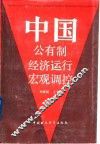 中国公有制经济运行宏观调控