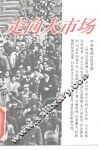 走向大市场