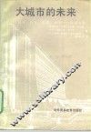 大城市的未来  柏林、伦敦、巴黎、纽约-经济方面