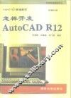 怎样开发AutoCAD R12