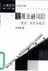 宏观金融风险  理论·历史与现实