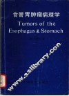 食管胃肿瘤病理学