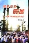 转轨中的震撼  中国下岗问题追踪与探索