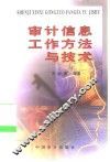审计信息工作方法与技术