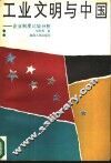 工业文明与中国  企业制度比较分析
