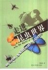 走进昆虫世界