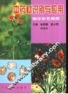中药材识别与应用  袖珍彩色图册  2