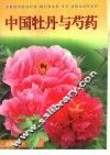 中国牡丹与芍药
