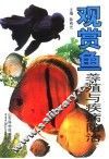 观赏鱼养殖与疾病防治