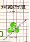 大特区建设的理论与实践