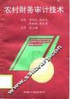 农村财务审计技术