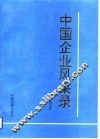 中国企业风采录
