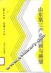 山东第三产业回顾与展望