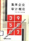 集体企业审计概论