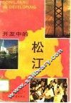 开发中的松江